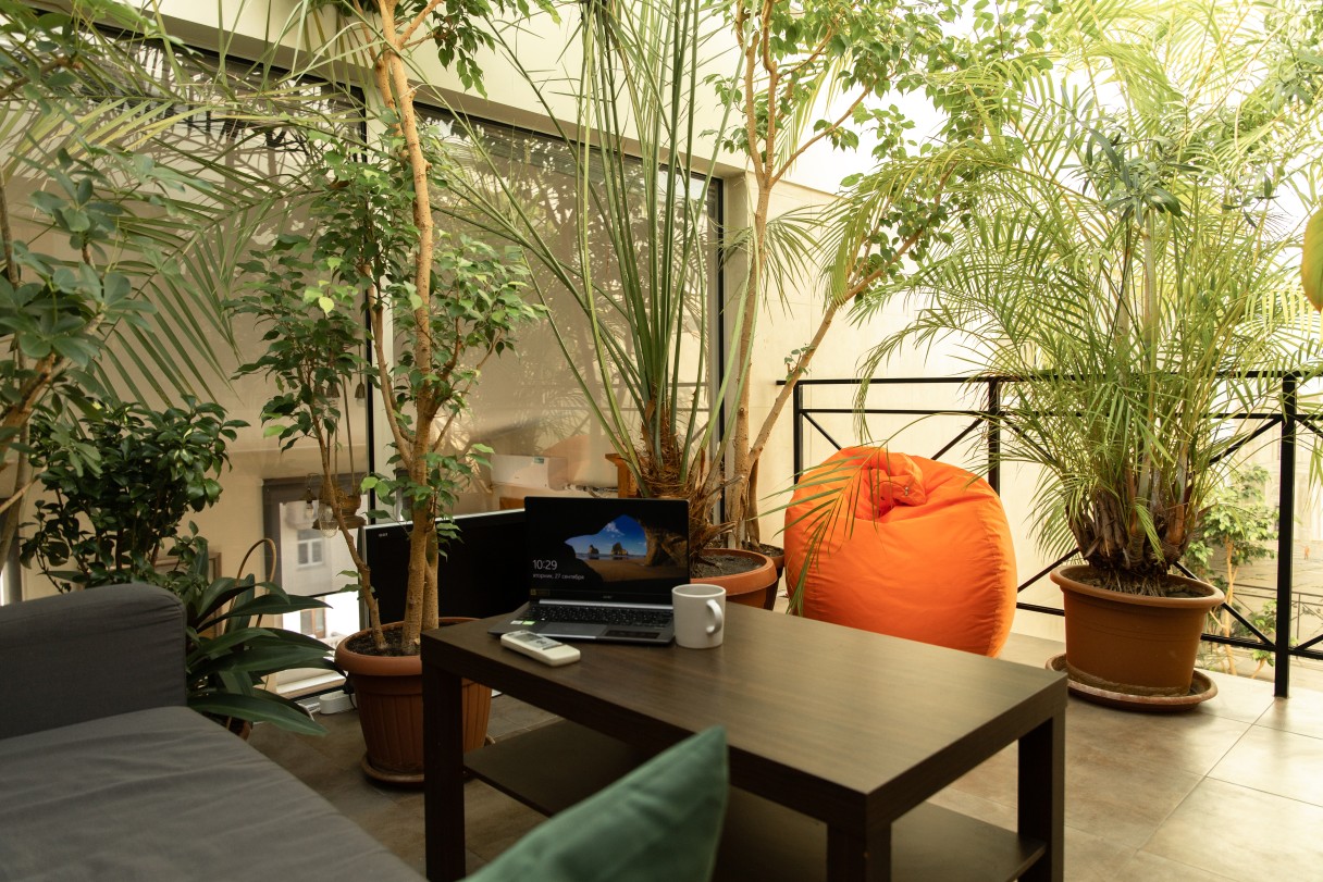 В офисе есть несколько зон отдыха с зеленым пространством, помогающим расслабиться или поработать в одиночестве