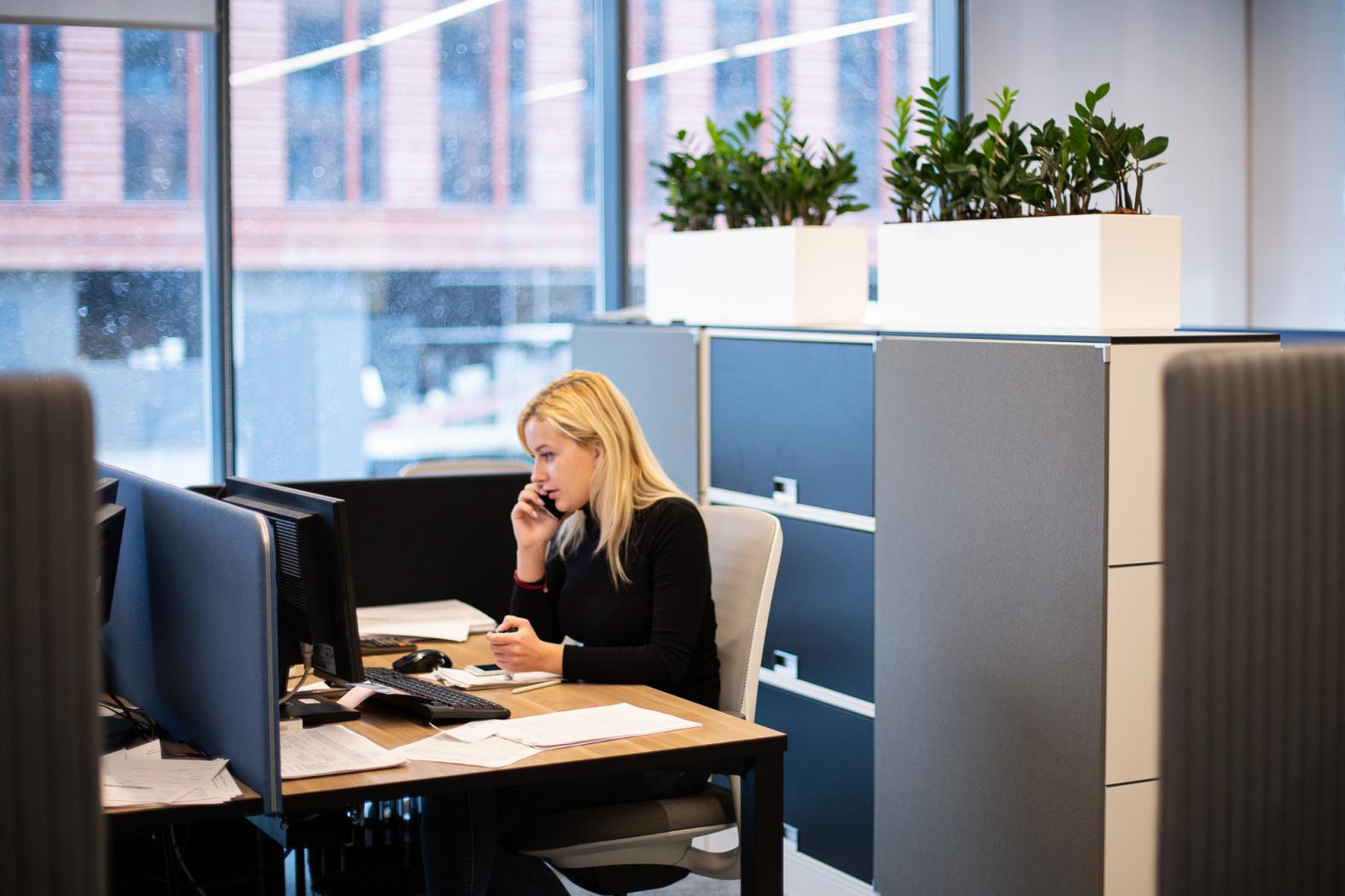 Для снижения уровня шума рабочие места в офисе разделены высокими ящиками и растениями.