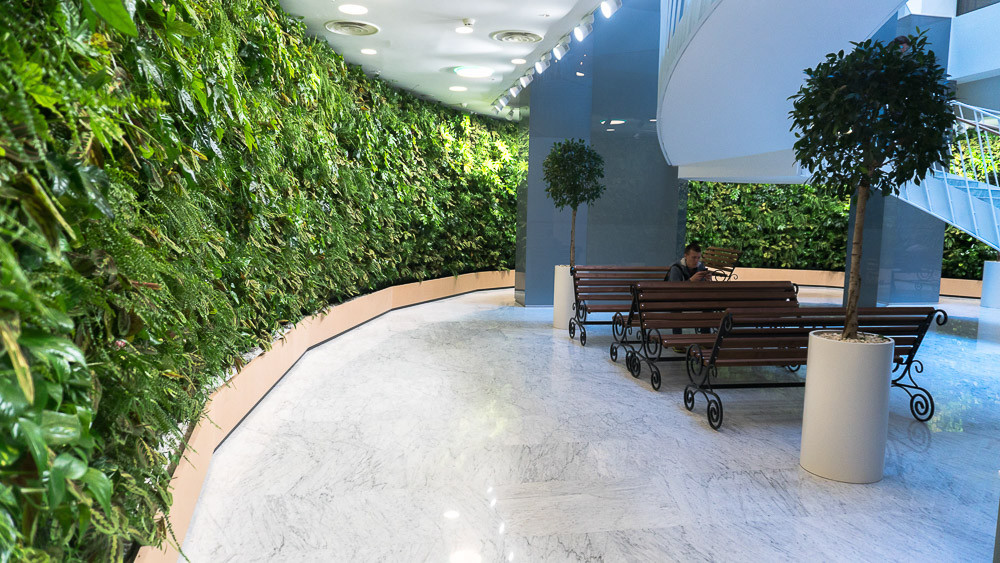 В офисе много уникальных мест, одно из них – это холл со стеной из живых растений